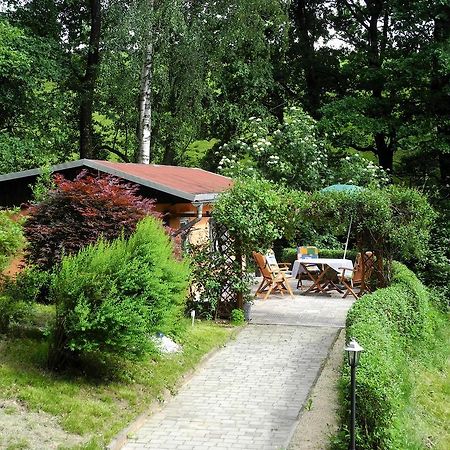 Ferienhaus Am Urzeitpark Sebnitz Hertigswalde 外观 照片