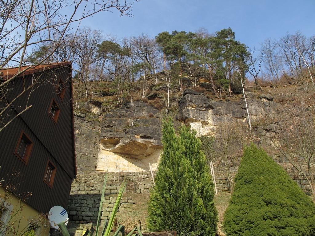Ferienhaus Am Urzeitpark Sebnitz Hertigswalde 外观 照片