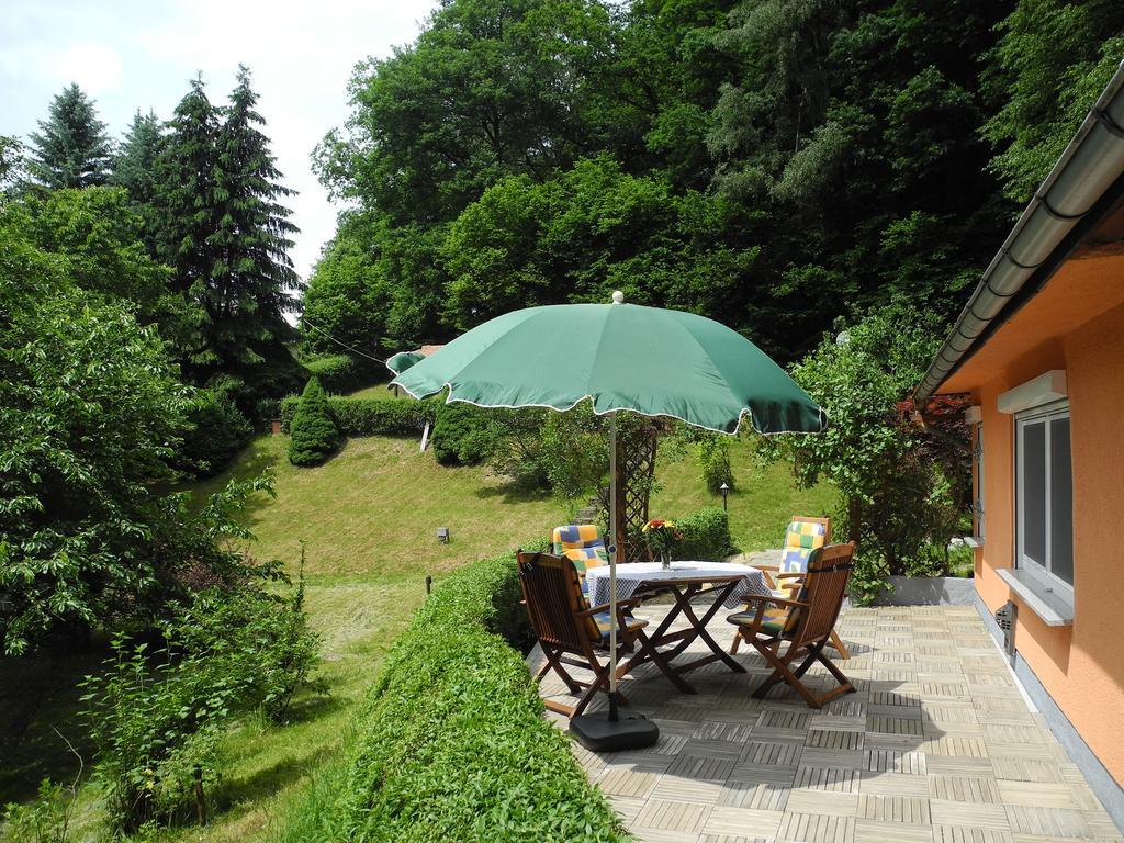 Ferienhaus Am Urzeitpark Sebnitz Hertigswalde 外观 照片