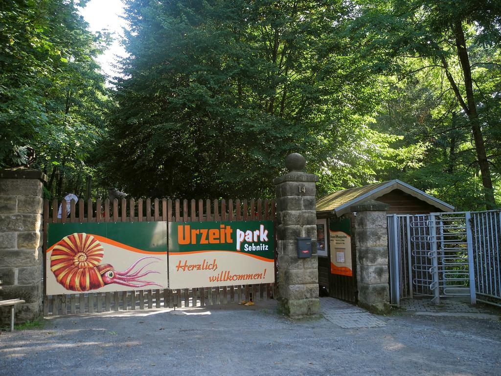 Ferienhaus Am Urzeitpark Sebnitz Hertigswalde 外观 照片